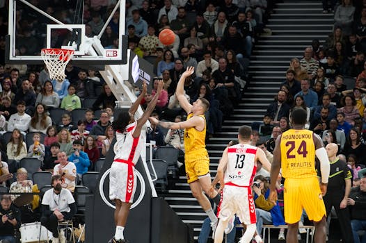 NBA Fan Stores: More Than Merchandise, A Hub for Hoops Culture