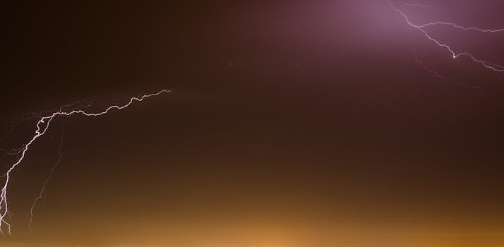 From Courtside to Catwalk: The Surging Popularity of NBA Earrings