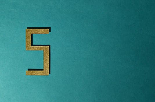 Top 5 NBA Fan Apparel Essentials: Elevate Your Wardrobe